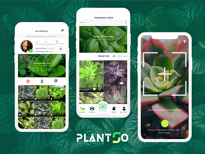 PlantSo - Capture & Find Name of Plants design flat illustration logo minimal typography ui ux design vector visual design