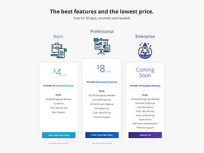 Pricing Page Concept desktop enterprise features price pricing professional social ui wip