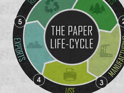 Paper Life Cycle cycle day infographic life paper print