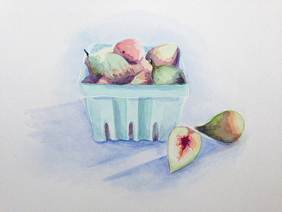 figs figs fruits watercolor