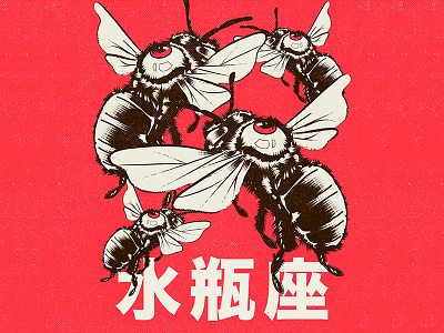 水瓶座 aesthetic graphic design illustration poster design