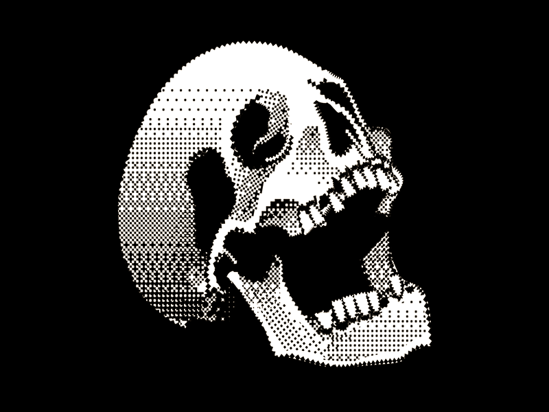 L A S E R aesthetic gif animated gif animation glitch glitch art graphic design illustration illustrator pixel art pixelart skull