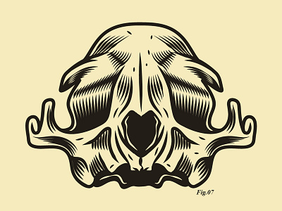 Skull cartoon character culture design gore illustration mallevs patch pop skull vector witch