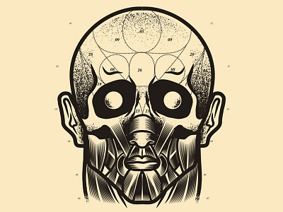 Frenología cartoon character culture design gore illustration pop skull vector