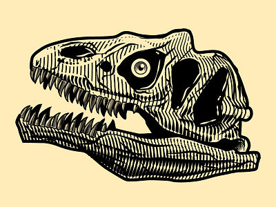 Skull