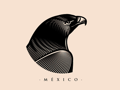 México cartoon character culture design eagle illustration mexico pop vector vectorart