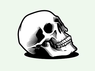 Stay Rotten. design graphic design illustration illustrator skull vector vector art