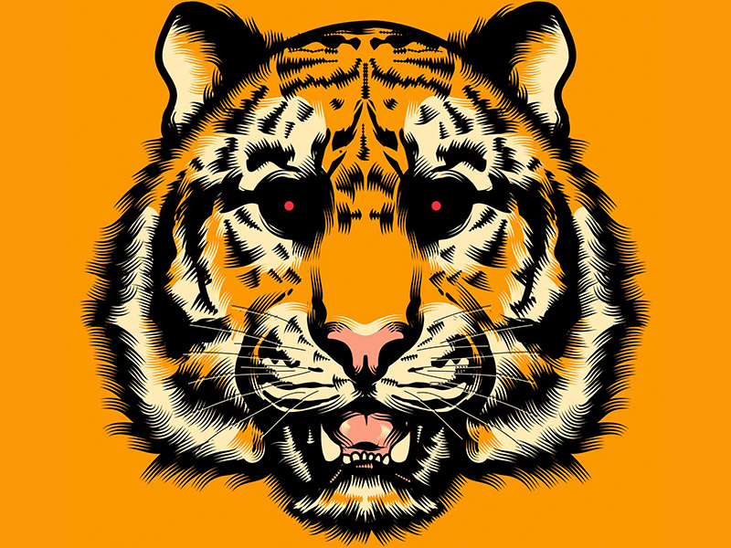 Hate animal tiger character cartoon adobe illustrator wacom tablet texture skull draw digital stay rotten illustration digital vector art illustrator graphic design vector design illustration