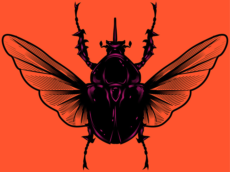 Beetle adobe illustrator draw beetle vintage adobe typography texture digital stay rotten vector art illustration digital vector cartoon illustrator graphic design character design illustration
