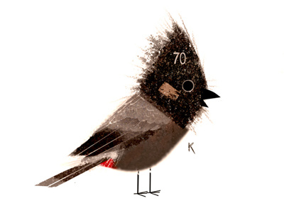 Red-Vented Bulbul animation birds childrens book illustration kenard pak picture book