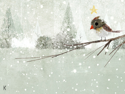 Xmas 2013 birds christmas northern cardinal snow