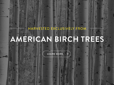 Sneak Pique american black and white brandon grotesque photography texture trees typography