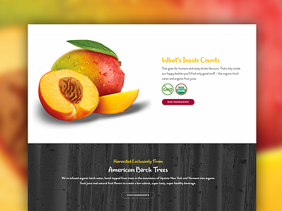 New Treo Website adobe fruit illustrator photoshop texture ui ux web design
