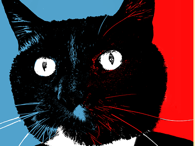 Spaghetti 2020 black cat campaign cat design digital art dribbbleweeklywarmup election graphic design poster spaghetti2020 tuxedo cat vote weekly challenge weekly warm up