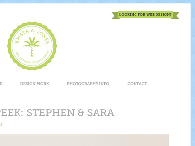 New Website banner blue green photography stripes web website