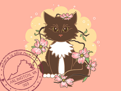 Passport Post arlington cat dogwood illustration illustrator kitty maine coon passportpost virginia