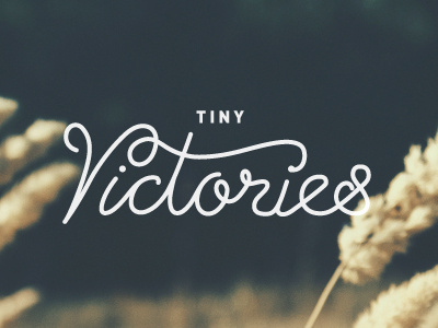 Tiny Victories blog brand branding hand drawn lettering logo