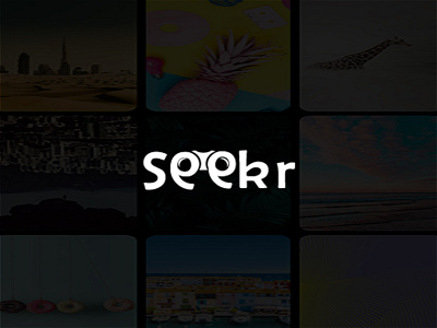 seekr logo