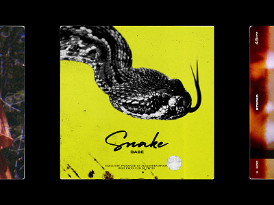 Cover Art for 'Snake' by Base artwork cover cover art cover artwork coverart coverdesign music music artwork
