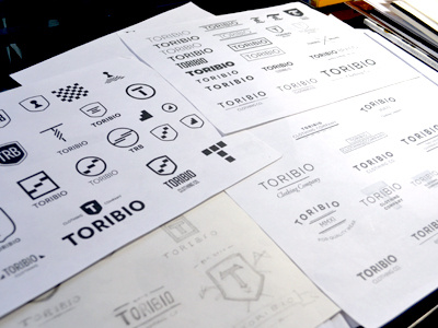 Early concept sketches 2 concept fonts logo mark shield sketches symbol t toribio word word mark