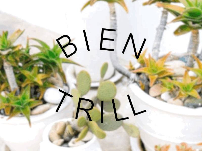 BIEN TRILL been trill bien fait cacti gif glitch logo madewell trill type typography