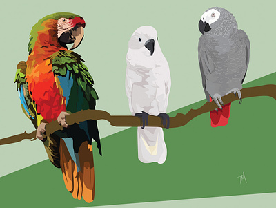 Who's A Pretty Bird? art design digital digital illustration illustration portrait vector