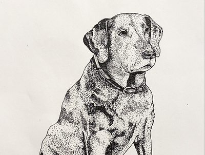 Dixie Mae animal dog drawing illustration ink ink and paper pet pointillism