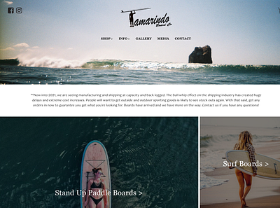 Tamarindo Board Co. ReDesign Concept branding design graphic design surf user experience ux webdesign website website design