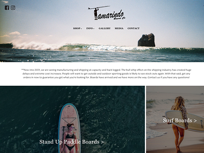 Tamarindo Board Co. ReDesign Concept branding design graphic design surf user experience ux webdesign website website design