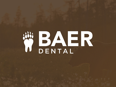 Dr. Baer bear bear logo branding dental dental logo dentistry