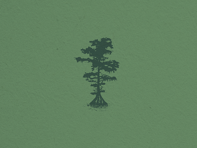 Cypress Tree Illustration Mark