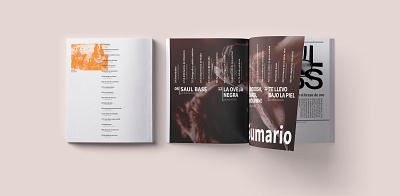 Revista Monos art design editorial design indesign mag magazine monos revista