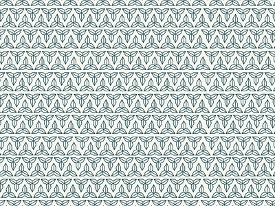 Pattern design / PAREDCY ACCO