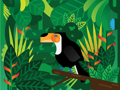 Minimal Rainforest design illustration logo tukan vector