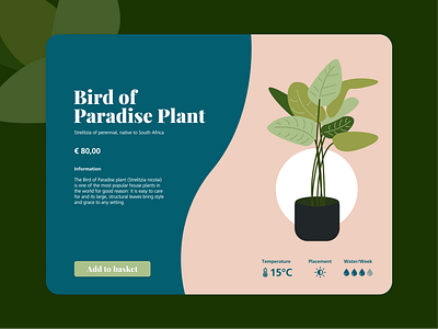 E-Commerce Page / Product Page – Daily UI #012 daily ui 012 daily ui challenge dailyui design digital illustration ecommerce illustration plant plant illustration product product page ui uidesign