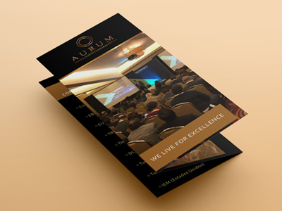 Aurum tri-fold Brochure brochure flyer tri fold brochure z fold brochure