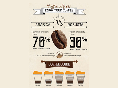 Infographic coffee Poster infographic poster