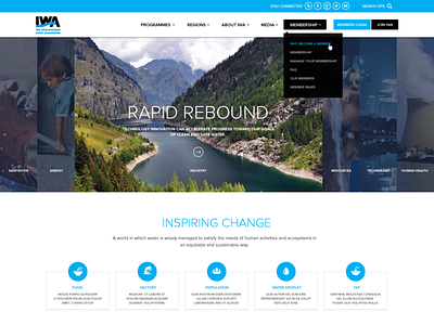 Iwa Web Design