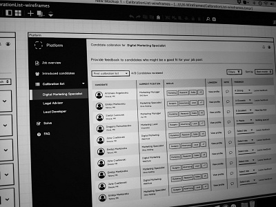 High fidelity wireframe