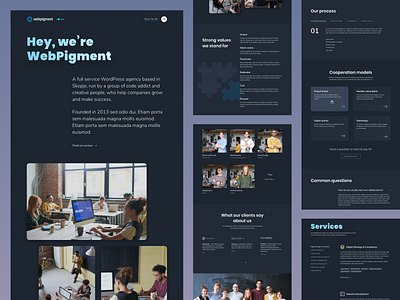 Web Pigment - WordPress Agency