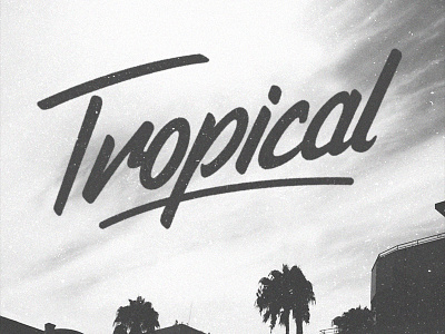 Tropical hand lettering handdone type handlettering lettering photography typography