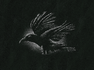 Caw caw caw crow illustrate procreate