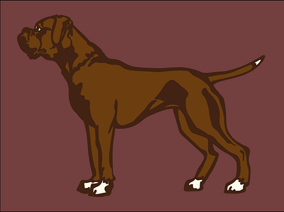 Red boxer dog illustration mascot vector