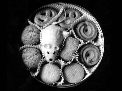 sweetmouse biscuits black and white box galleta mouse photography ratón