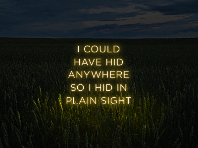 I could have hid anywhere graphic design nature typography