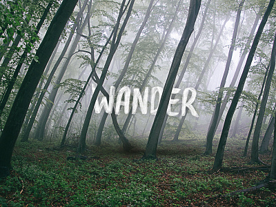 Wander lettering nature typography