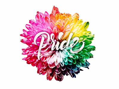 Happy Pride design graphic design handlettering lettering photography pride type typography