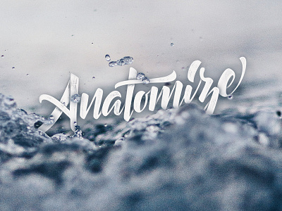 Anatomize design graphic design handlettering lettering photography type typography