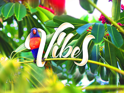 Vibes design graphic design handlettering lettering photography type typography