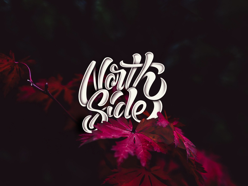 True North Strong calligraphy north art canada design graphic design illustration type lettering handlettering typography